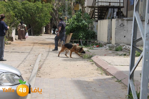 ludpolicedogs411 (10).jpg